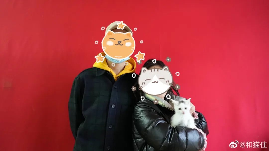 救了1000只猫后，他被网暴了休闲区蓝鸢梦想 - Www.slyday.coM