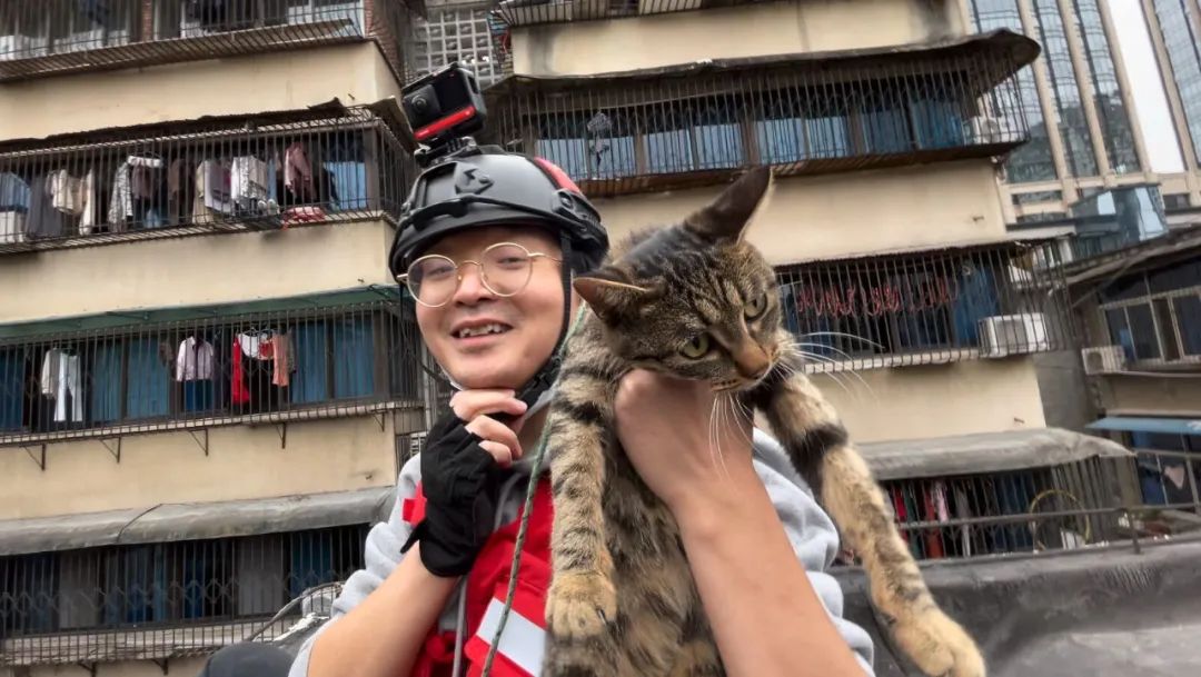 救了1000只猫后，他被网暴了休闲区蓝鸢梦想 - Www.slyday.coM