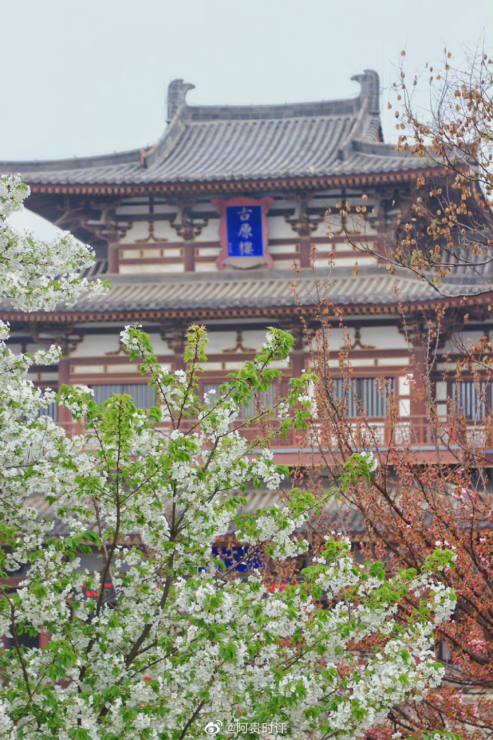 西安樱花寺庙图片