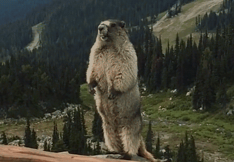 测核酸时不要再啊了 关键是张大嘴巴休闲区蓝鸢梦想 - Www.slyday.coM