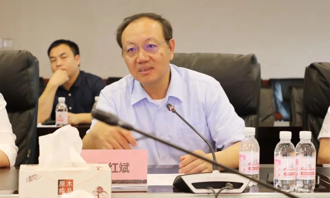 比亚迪集团高级副总裁兼弗迪动力董事长罗红斌不过比亚迪当下的dm-i