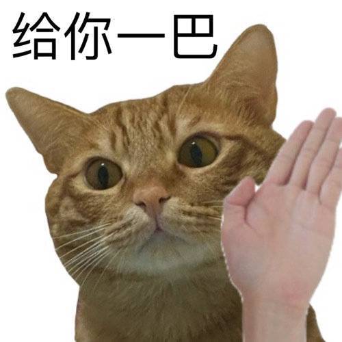 表情包 | 来，试试看|表情包_新浪新闻