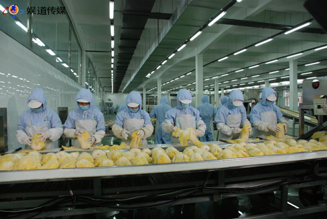 此坑非彼坑吉林田谷好芯酸菜大揭秘