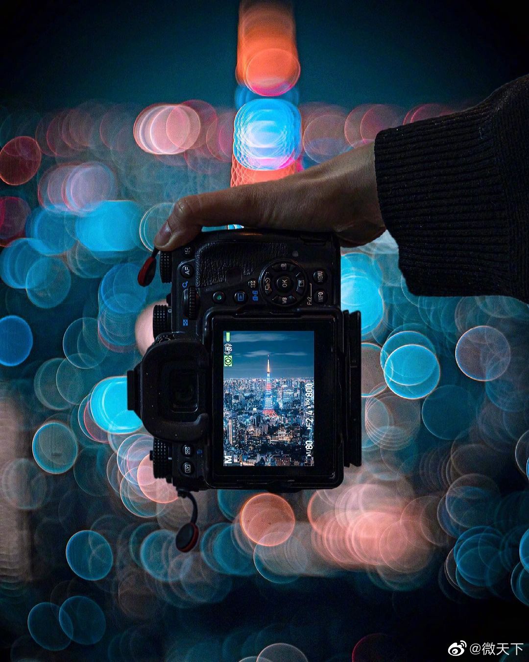 眼眸与镜头里的小小世界