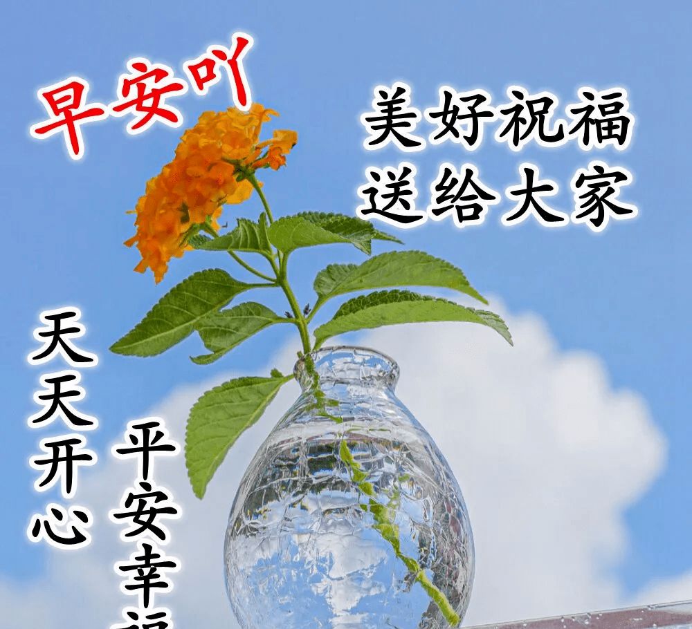 8,早上親愛的,請接受我的祝福:讓微笑爬上臉龐,讓快樂充滿心房,讓好運