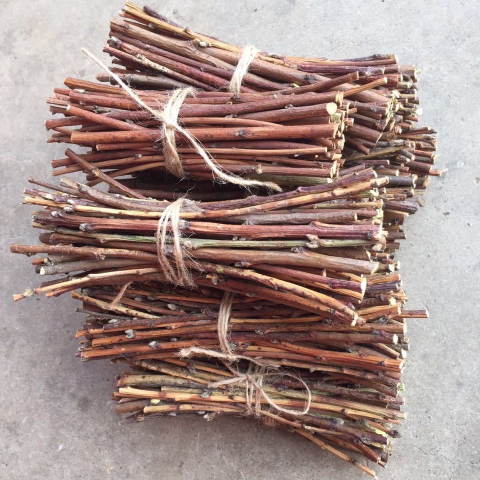 农村桃树枝又称神仙木放枕头下有辟邪镇宅的作用很多人不知道