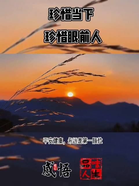 健康永远是第一顺位治愈东航珍惜眼前人空难哀悼解冻性情感悟人生67