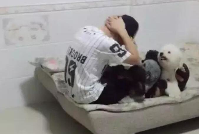 帮主人压腿的狗狗,没等主人起身就全跑了,瞬间摔了个狗吃屎休闲区蓝鸢梦想 - Www.slyday.coM 帮主人压腿的狗狗,没等主人起身就全跑了,瞬间摔了个狗吃屎休闲区蓝鸢梦想 - Www.slyday.coM