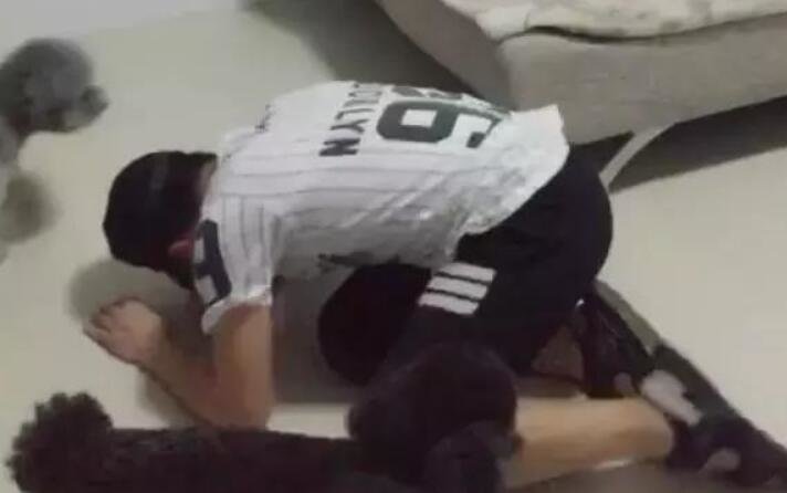 帮主人压腿的狗狗,没等主人起身就全跑了,瞬间摔了个狗吃屎休闲区蓝鸢梦想 - Www.slyday.coM 帮主人压腿的狗狗,没等主人起身就全跑了,瞬间摔了个狗吃屎休闲区蓝鸢梦想 - Www.slyday.coM