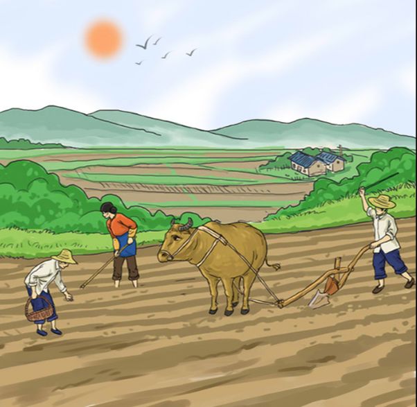 在农耕时代前后,人类认识到含有淀粉种子(谷物)野生植物可以充饥,便