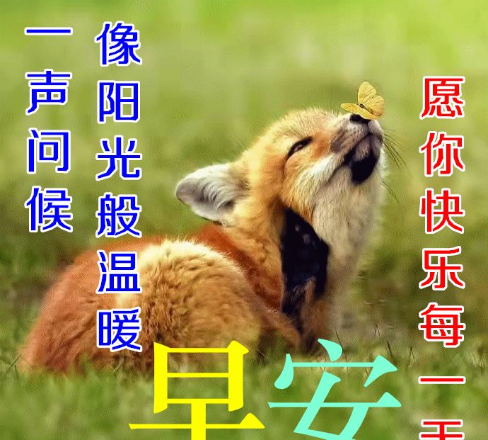 早上好温馨又暖心的问候语朋友圈最温馨的早安祝福图片精选