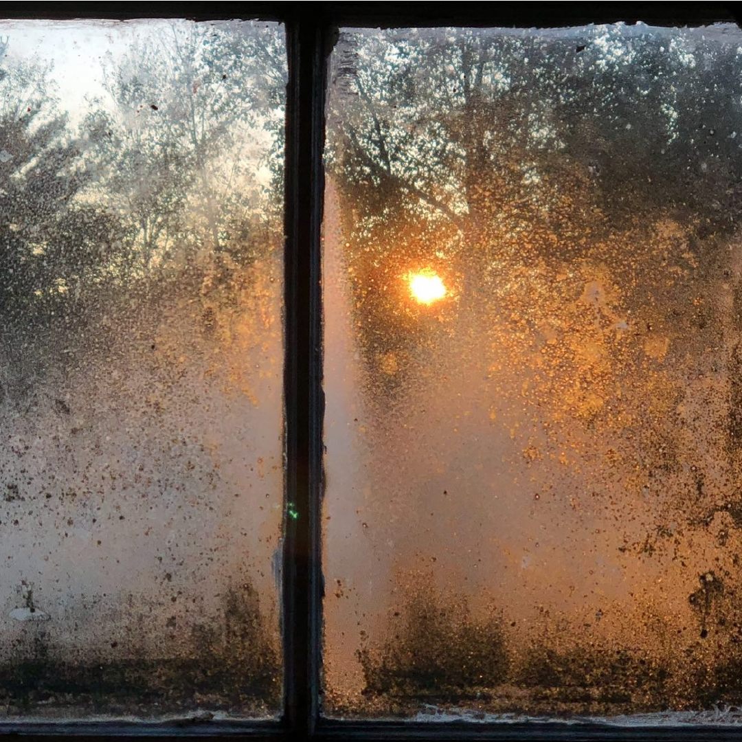 清晨的窗lauraaikinshatfield