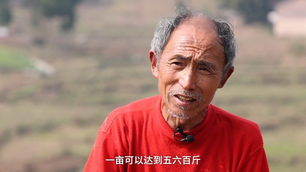 四川达州大竹县66岁的独臂老人,却始终想要劳动