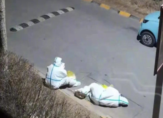 “封城”9天，14轮核酸，感染2784例！这座城市为什么上不了热搜？休闲区蓝鸢梦想 - Www.slyday.coM