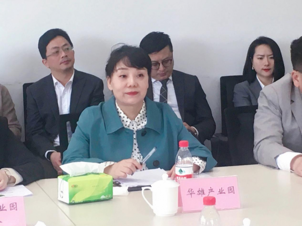 (图为熊英发言)