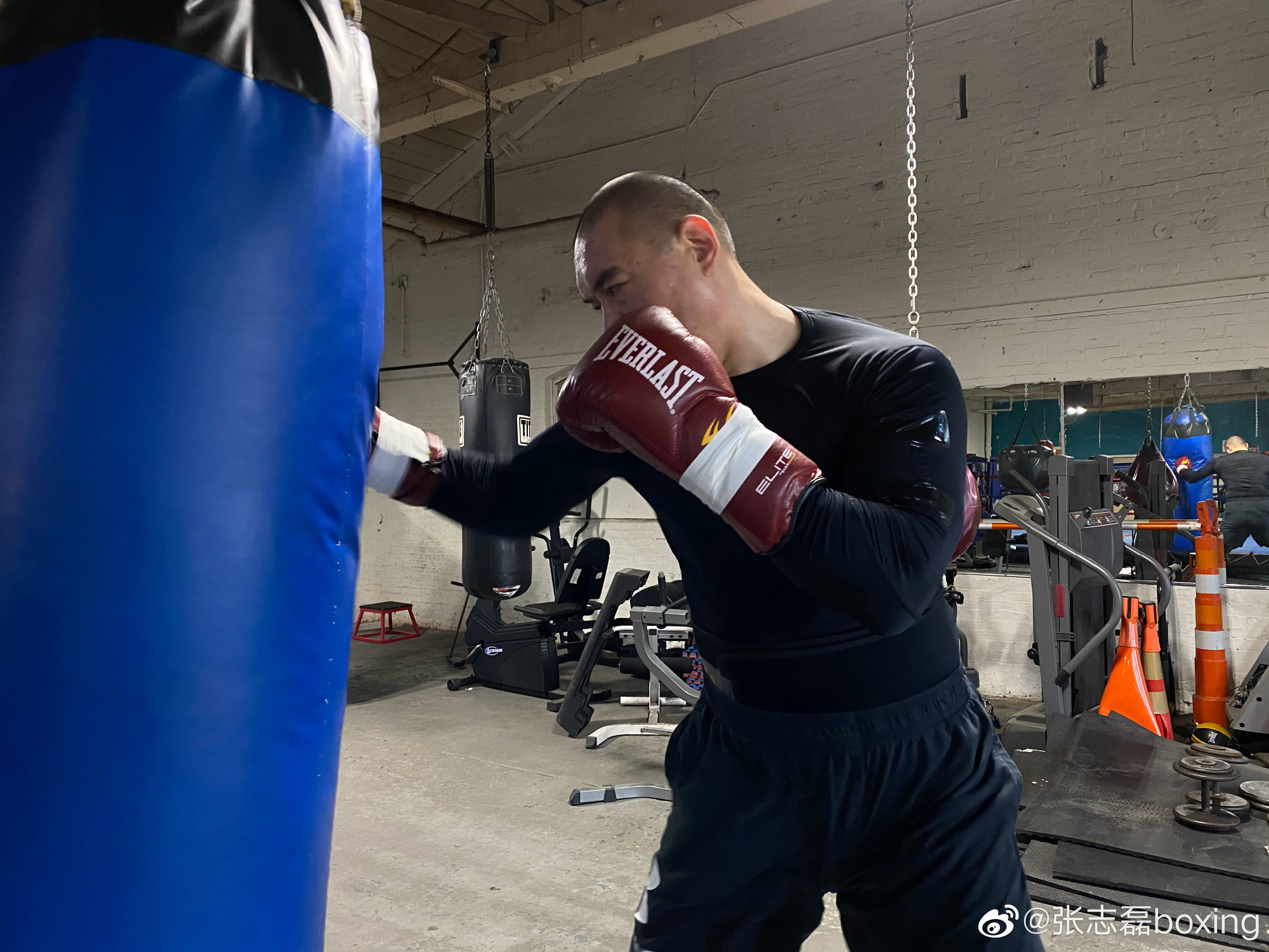 39岁张志磊5月美国比赛赢了就能挑战世界重量级拳王