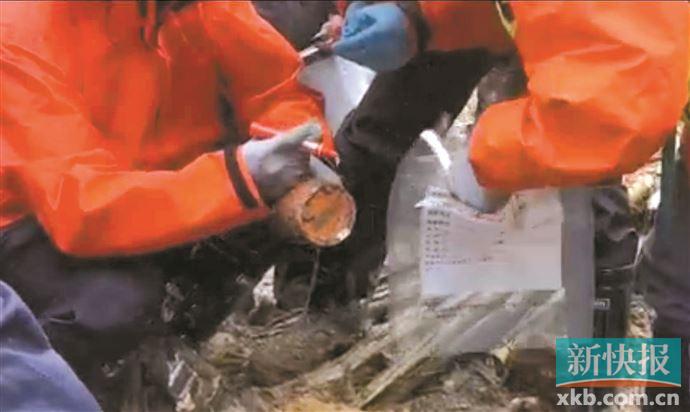 找到一部黑匣子 初判为驾驶舱语音记录器休闲区蓝鸢梦想 - Www.slyday.coM