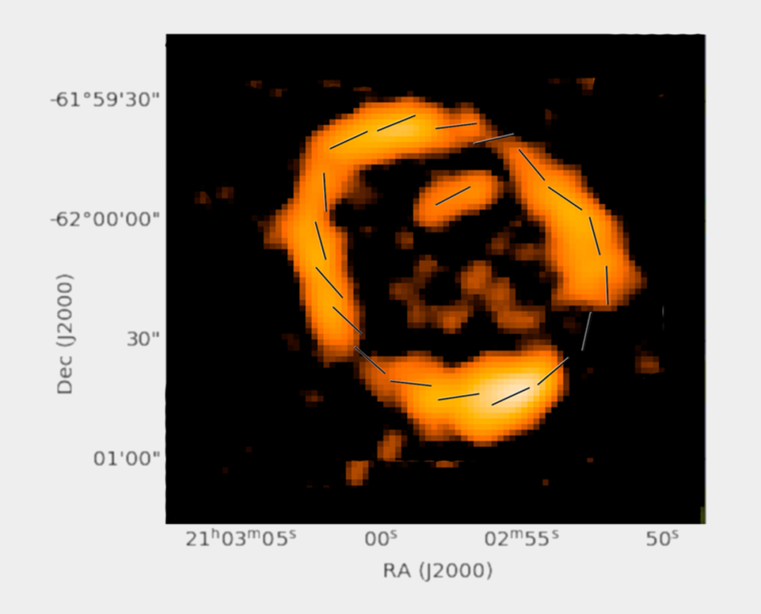 环绕ORC边缘附近的线表示磁场的方向。像这样的一个圆形磁场暗示着它被来自中心星系的冲击波挤压。| 图片来源：Larry Rudnick from MeerKAT data