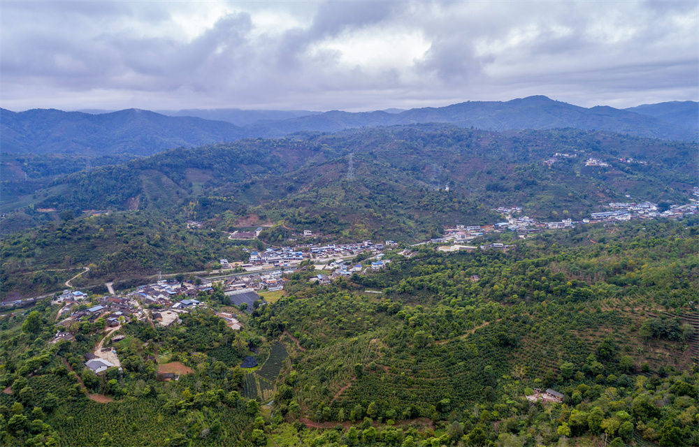 这杯咖啡里,洋溢着山乡振兴的香气_新浪财经_新浪网