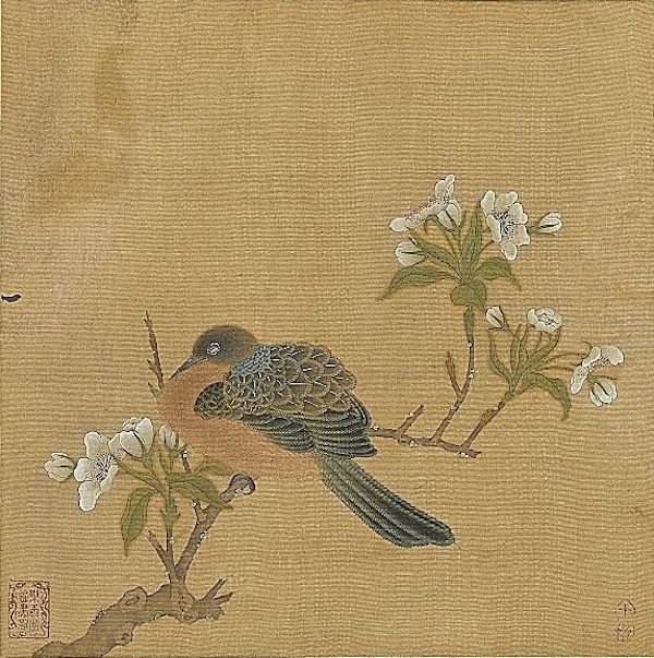 (传)明 仇英 《花鸟册〈梨花斑鸠〉》 台北故宫博物院藏