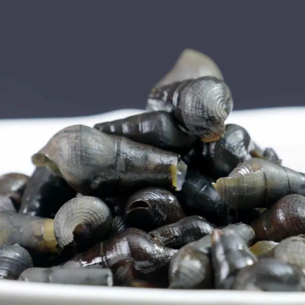 农家菜紫苏山坑螺焖鸡独特风味老少咸宜