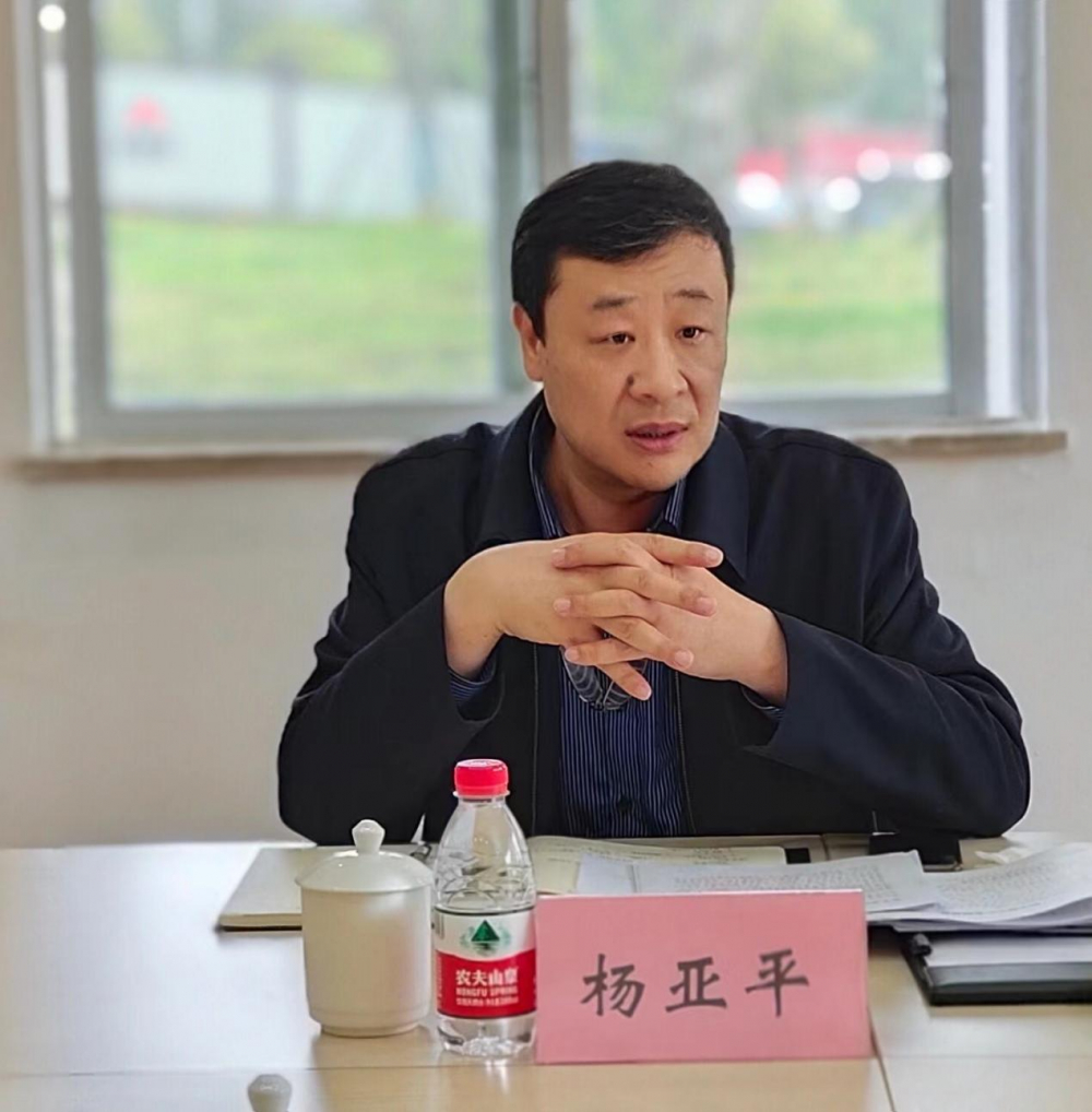 (图为杨亚平讲话)