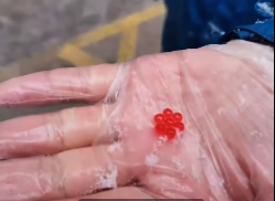 “封城”9天，14轮核酸，感染2784例！这座城市为什么上不了热搜？休闲区蓝鸢梦想 - Www.slyday.coM