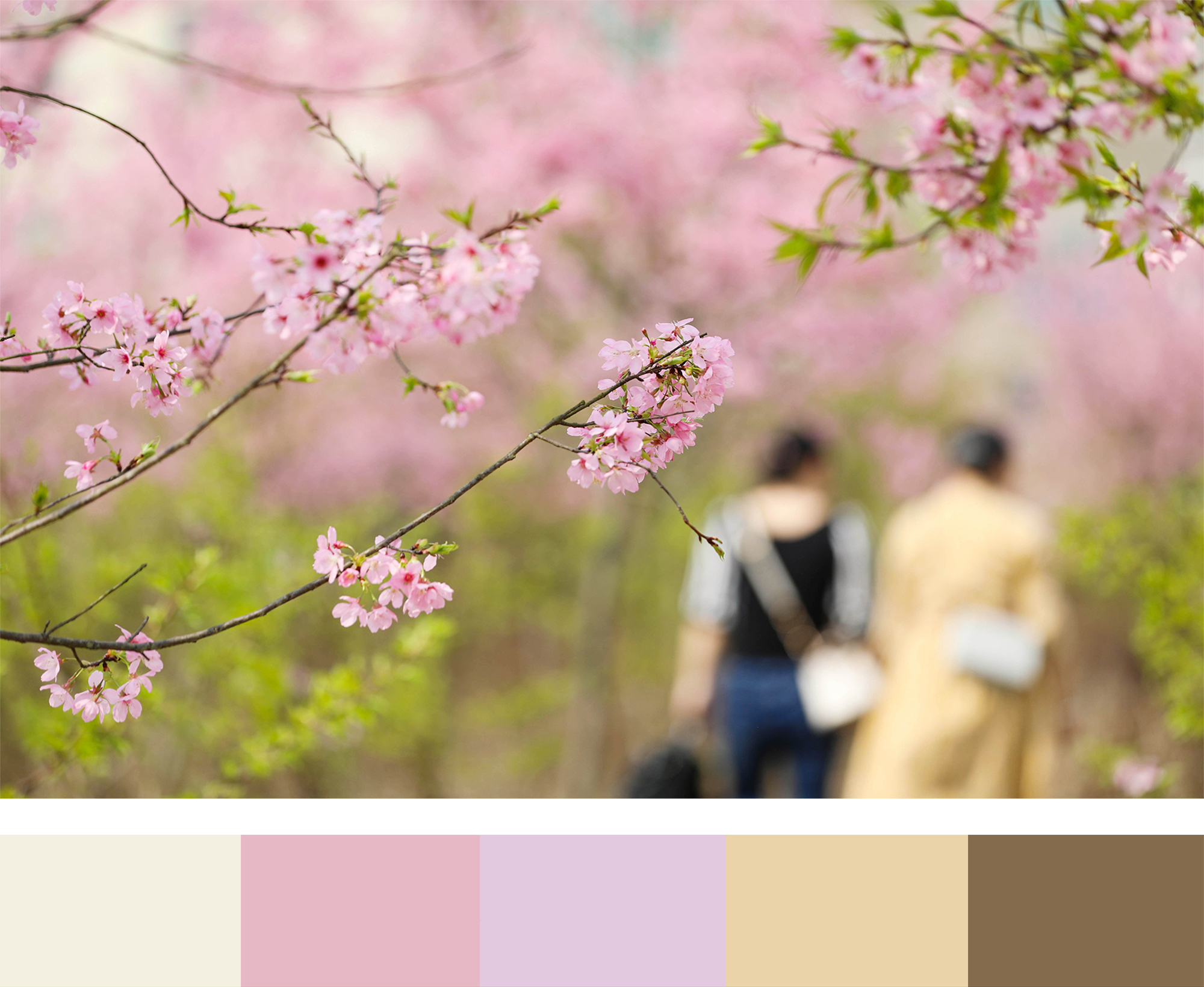 你眼中的春天是什么颜色