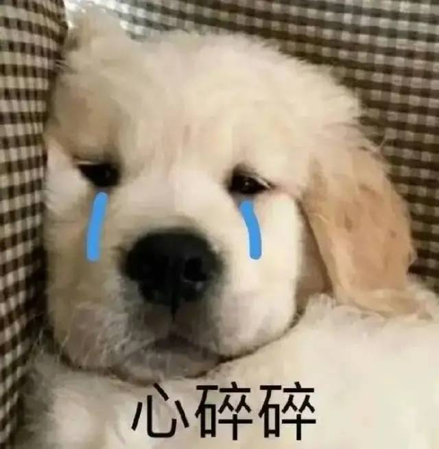 仙侠剧cp请按这个标准卷一下休闲区蓝鸢梦想 - Www.slyday.coM