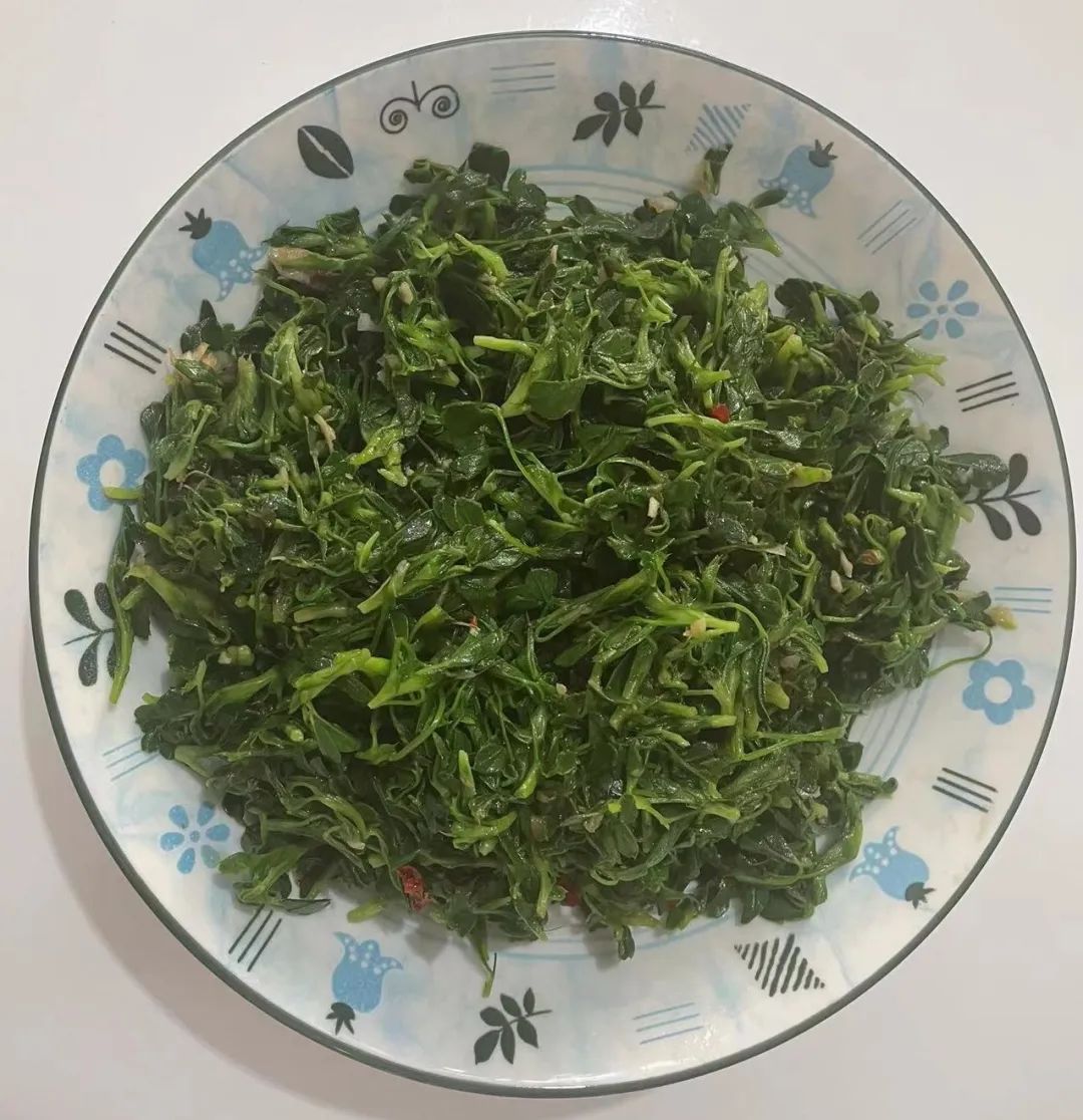 五叶菜,核桃花,乌龙头.春天的味道,我知道!__财经头条