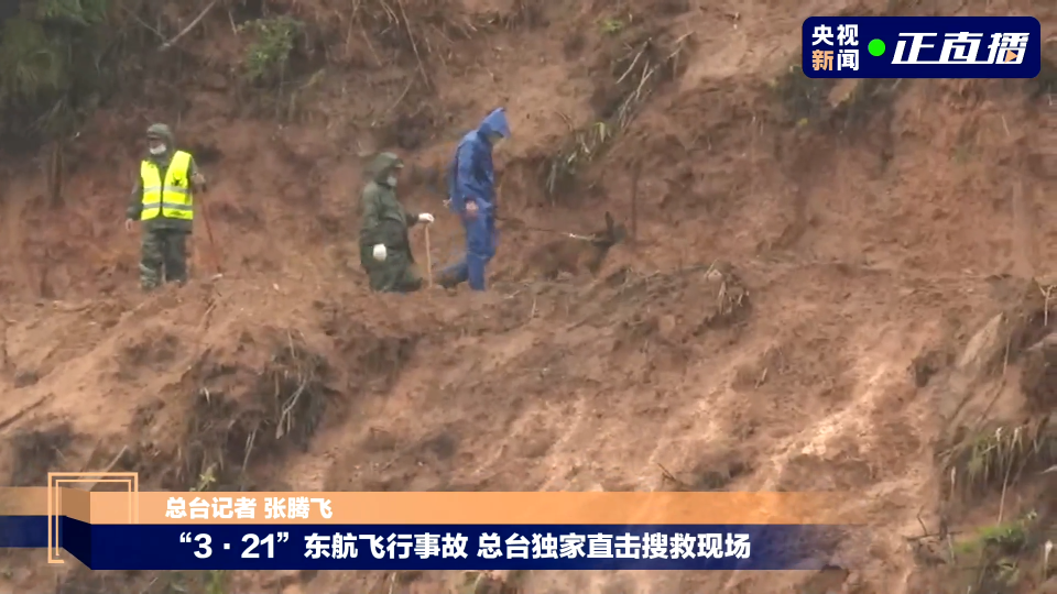 坠机主要撞击点基本确定！残骸深度从地表向下延伸约20米休闲区蓝鸢梦想 - Www.slyday.coM