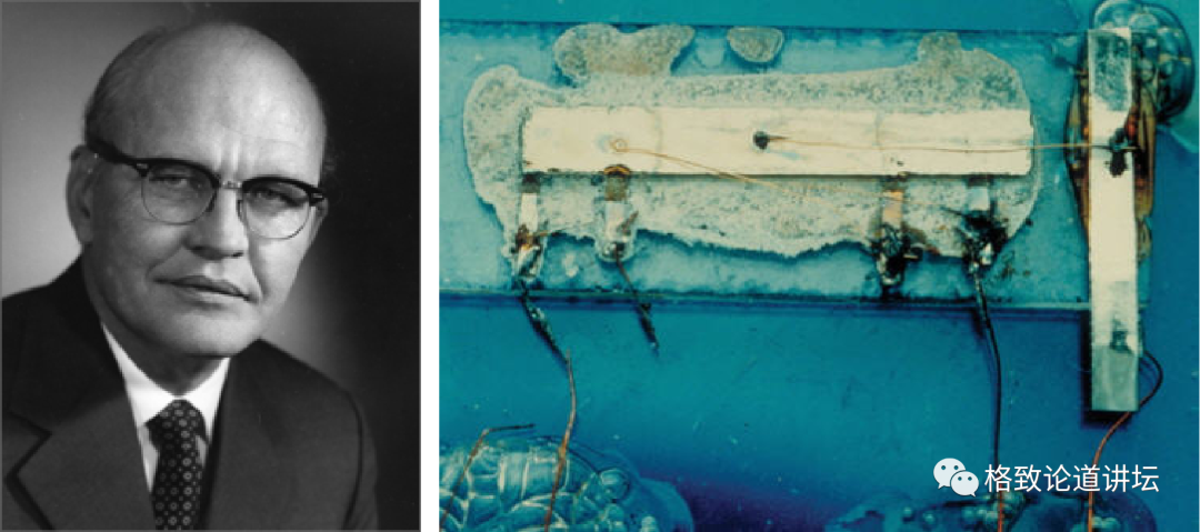 福特野马GT和谢尔比版有什么区别 谢尔比和野马的区别体现在哪里