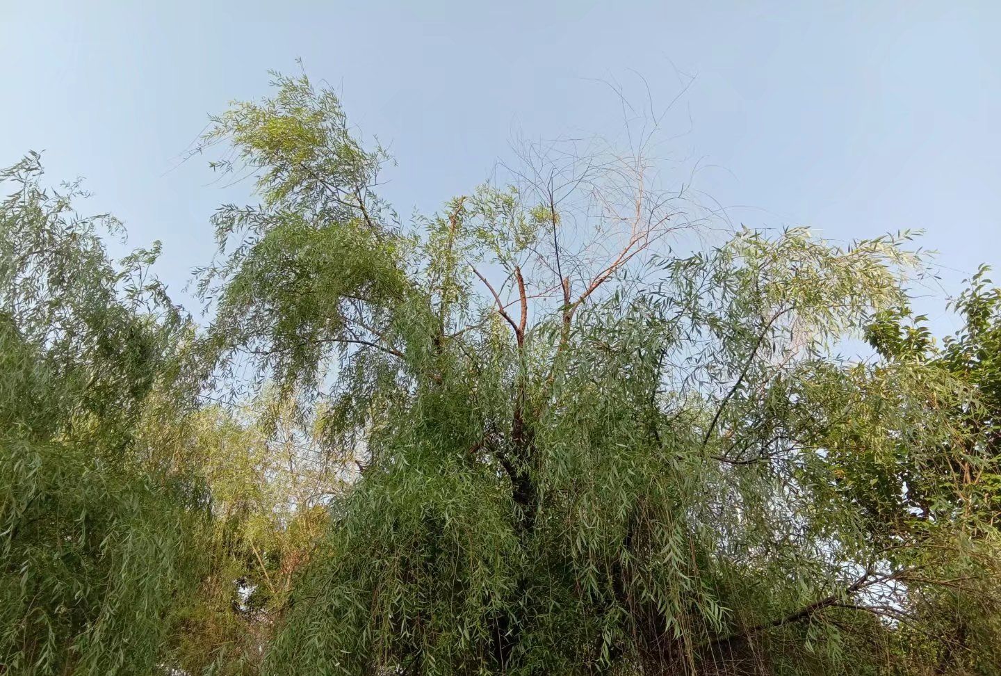 故事：二流子潜入放羊老汉的家里，发现他的家里藏着三个年轻女子__财经头条