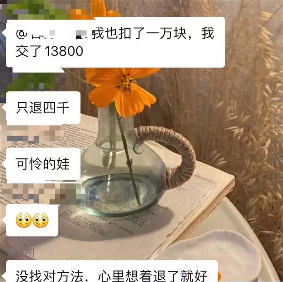 尚德机构的血与泪:贷款交学费、留学被骗十余万元(图14)