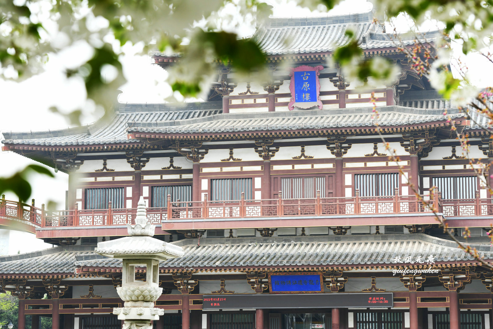 白如雪飘若练春天去西安青龙寺寻觅都市樱花的炫目之美