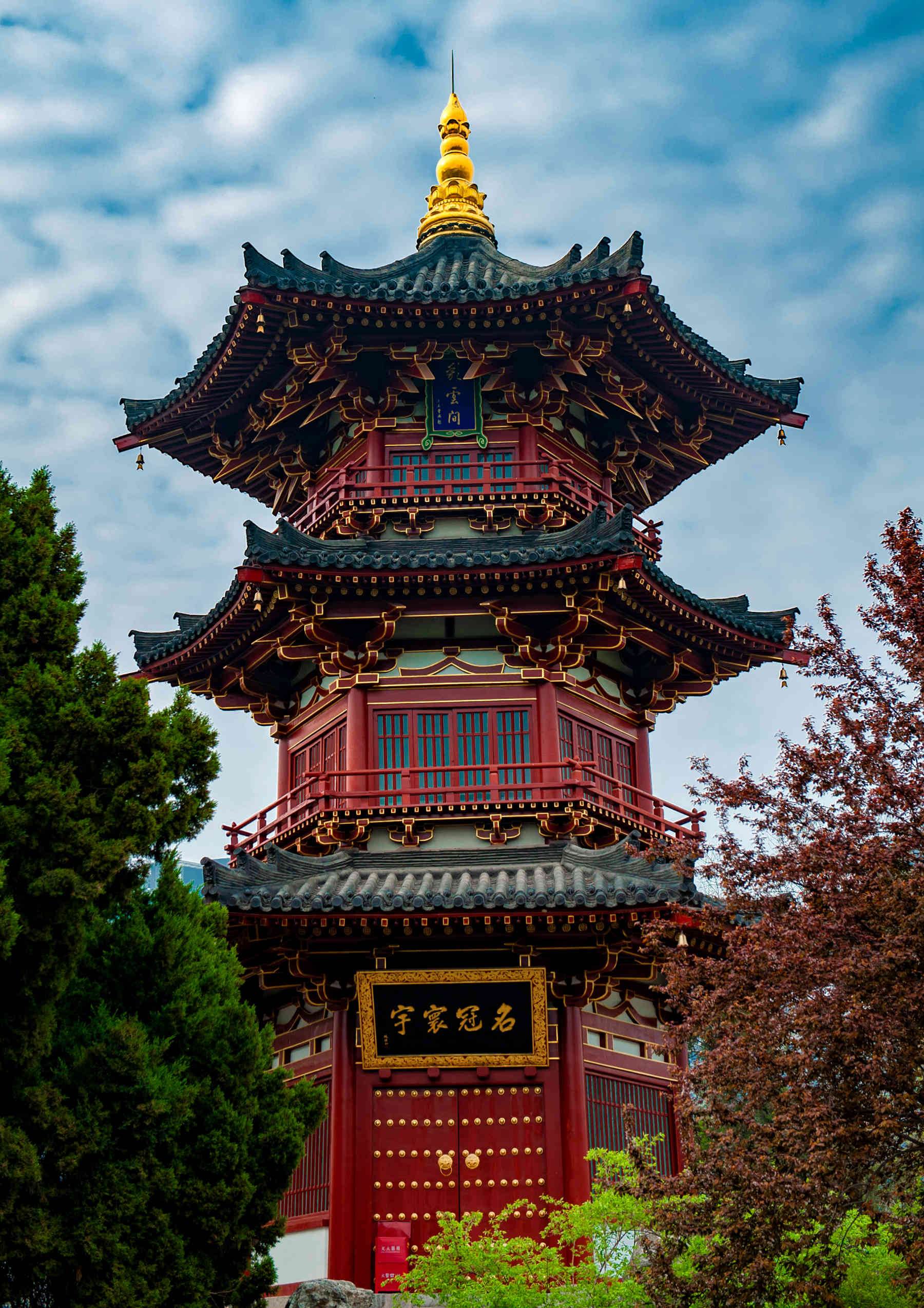 春游兴庆宫公园欣赏郁金香