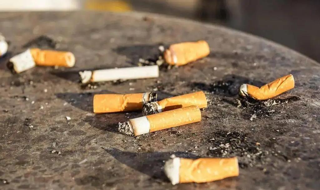 烟头危害生物 海龟为何成为科学难题