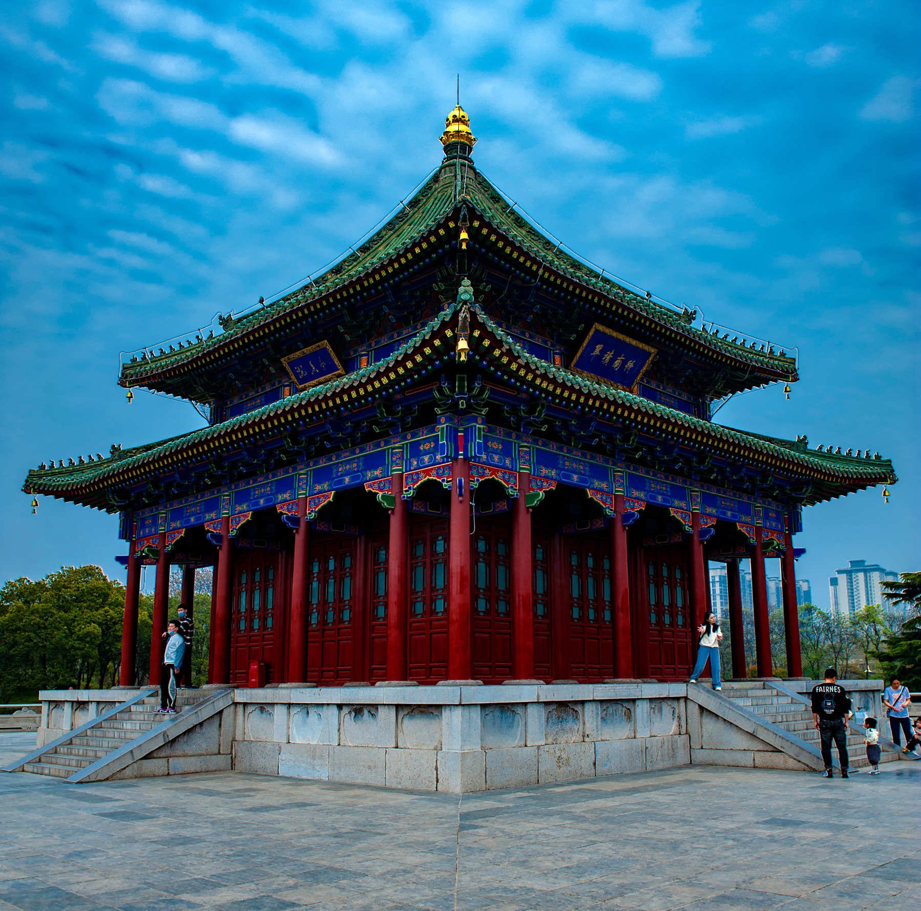 春游兴庆宫公园欣赏郁金香