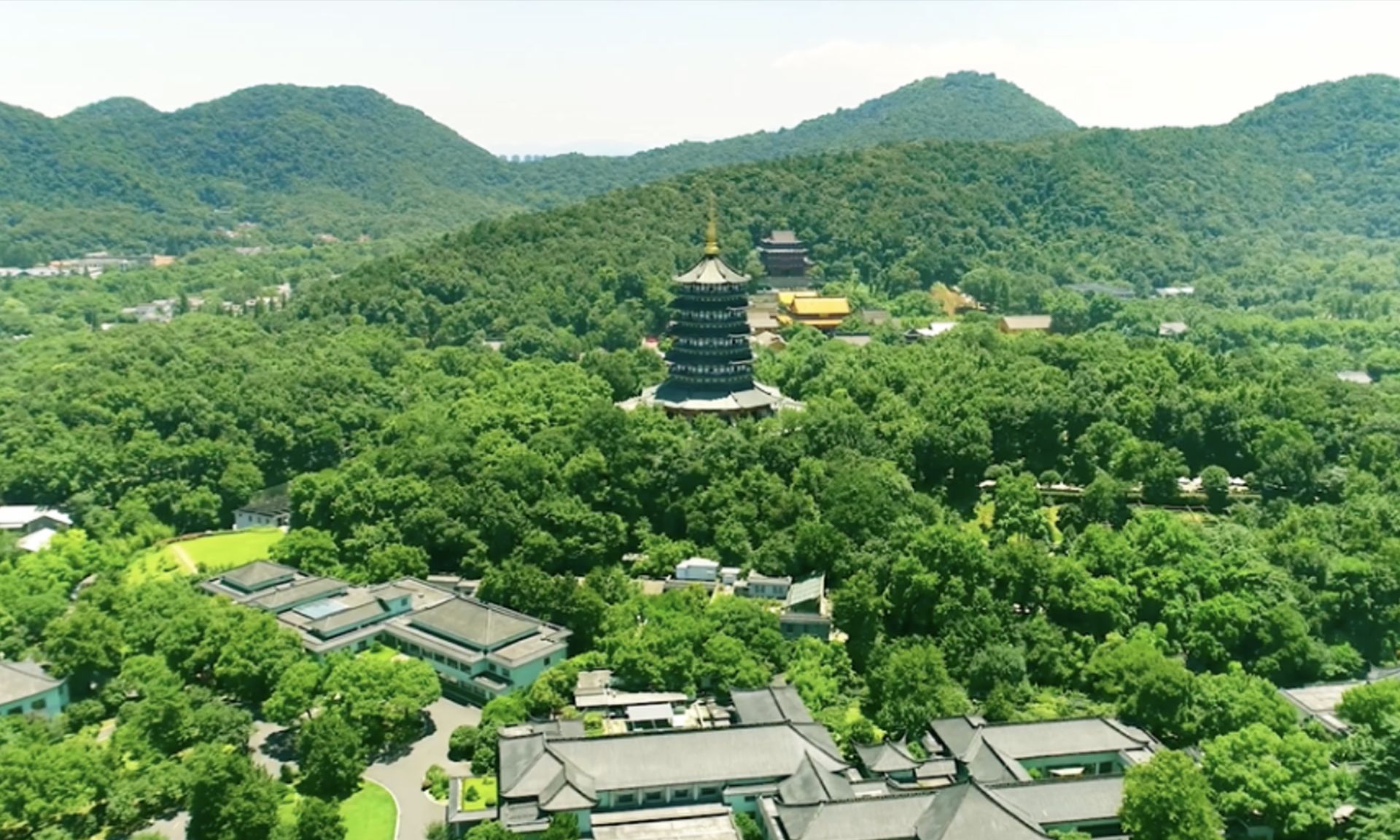 "一杯茶"指什么茶|茶树|狮峰山|茶叶_新浪新闻