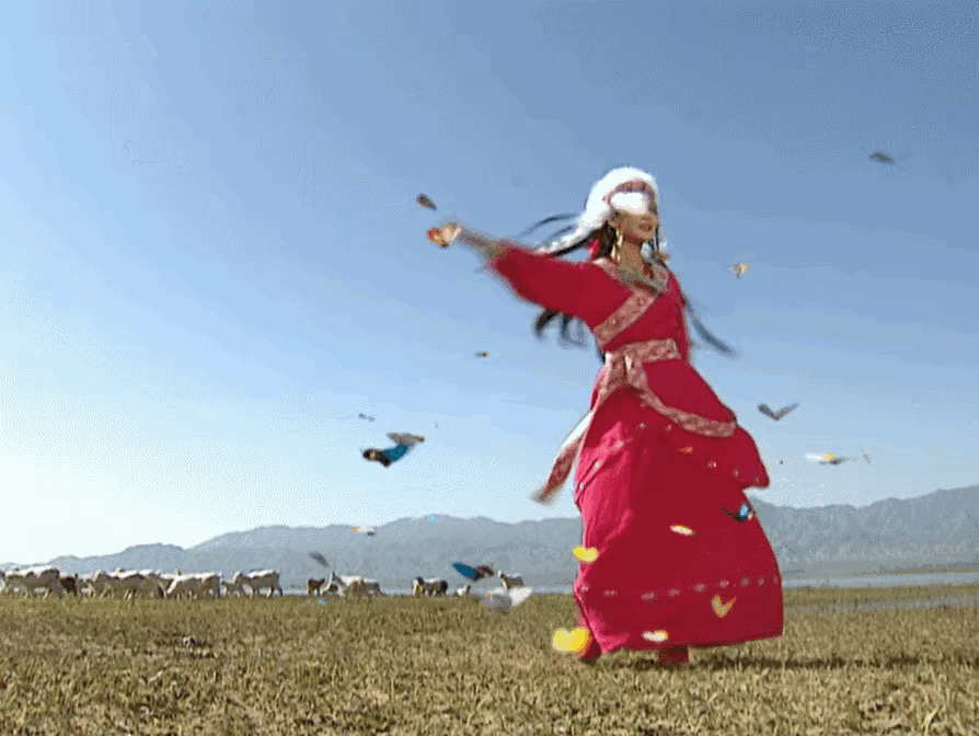 还珠格格里香妃引蝴蝶的画面