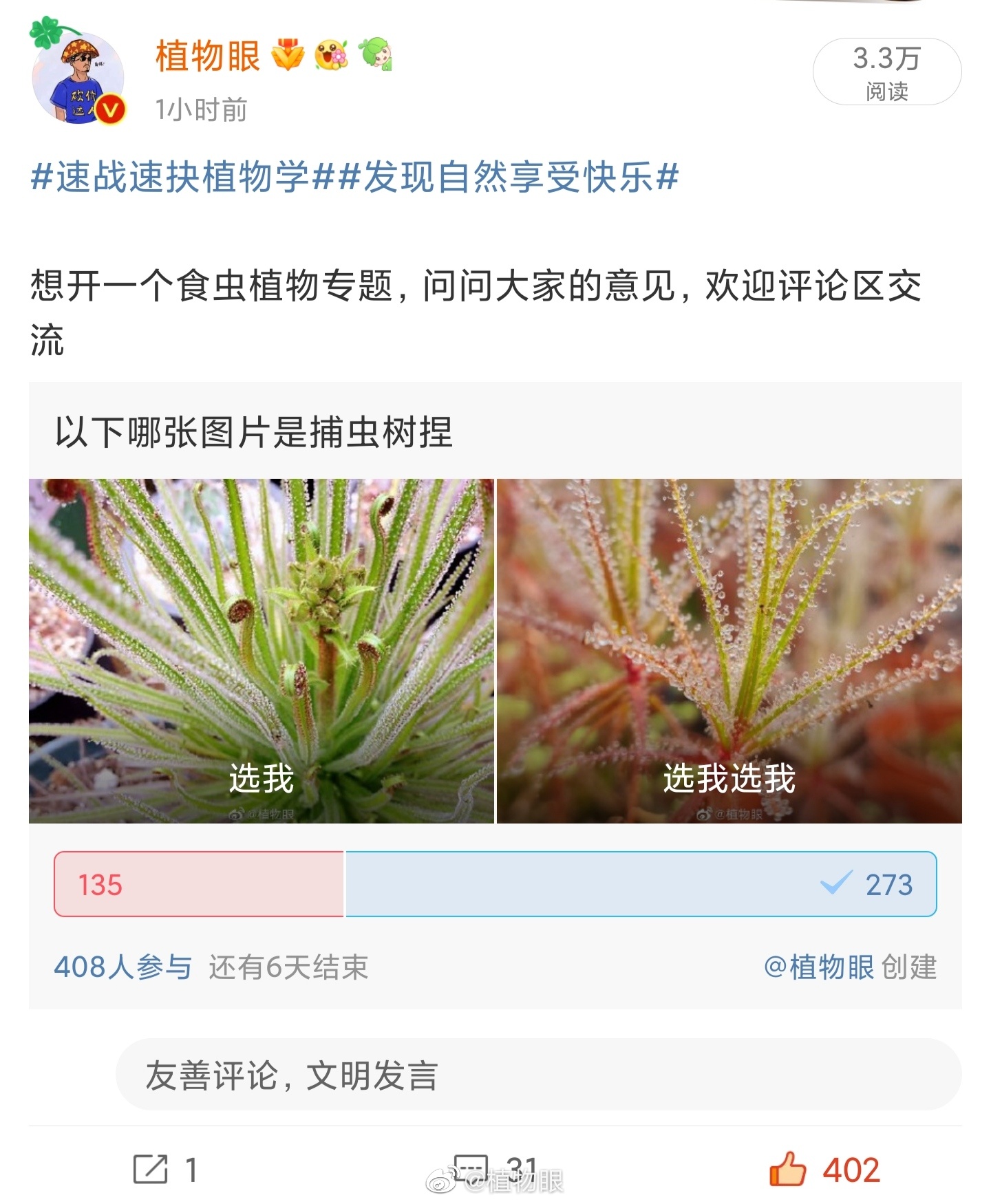 食虫植物专题 露松和捕虫树的简单分辨小技巧……|新叶|腺体|粘液|摩洛哥|西班牙_新浪新闻