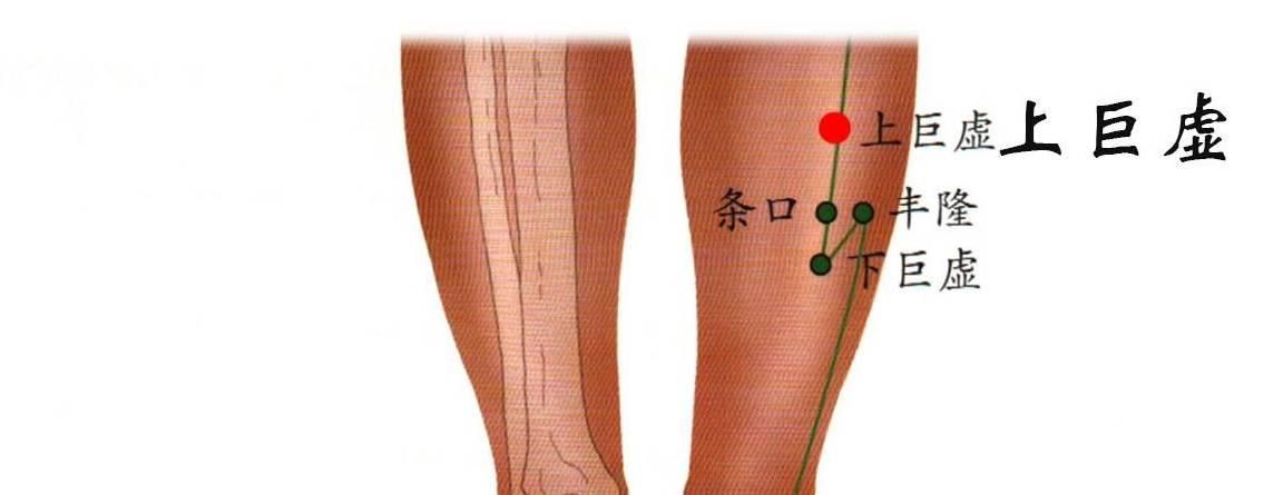 腿上有一对治理肠道的“兄弟穴”,从吸收到排泄,整个肠道都健康__财经头条