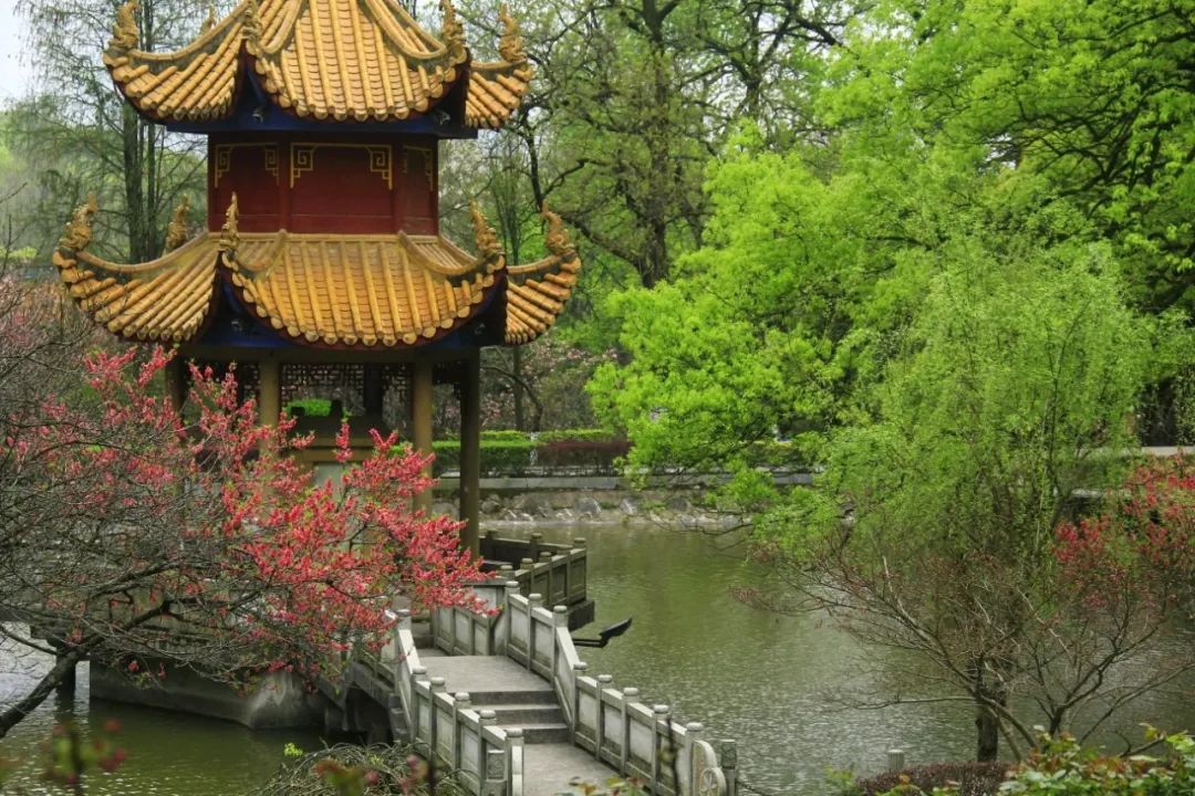 自然散步岳麓山物候春分