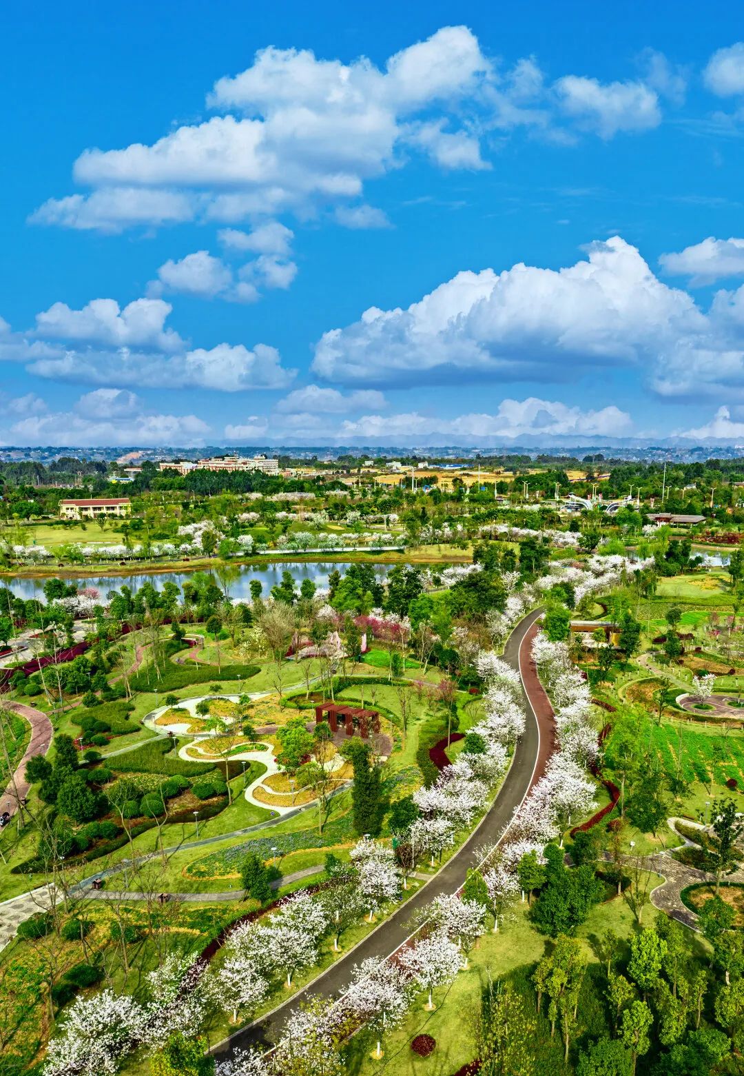 安家东坡故里 宜居品质眉山|眉山市|成都市_新浪新闻