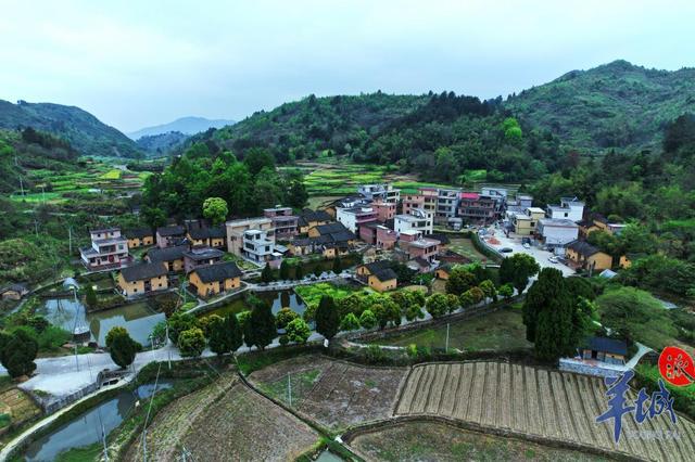 图集韶关乐昌庆云镇盎然春意莫若此八百余岁户昌山