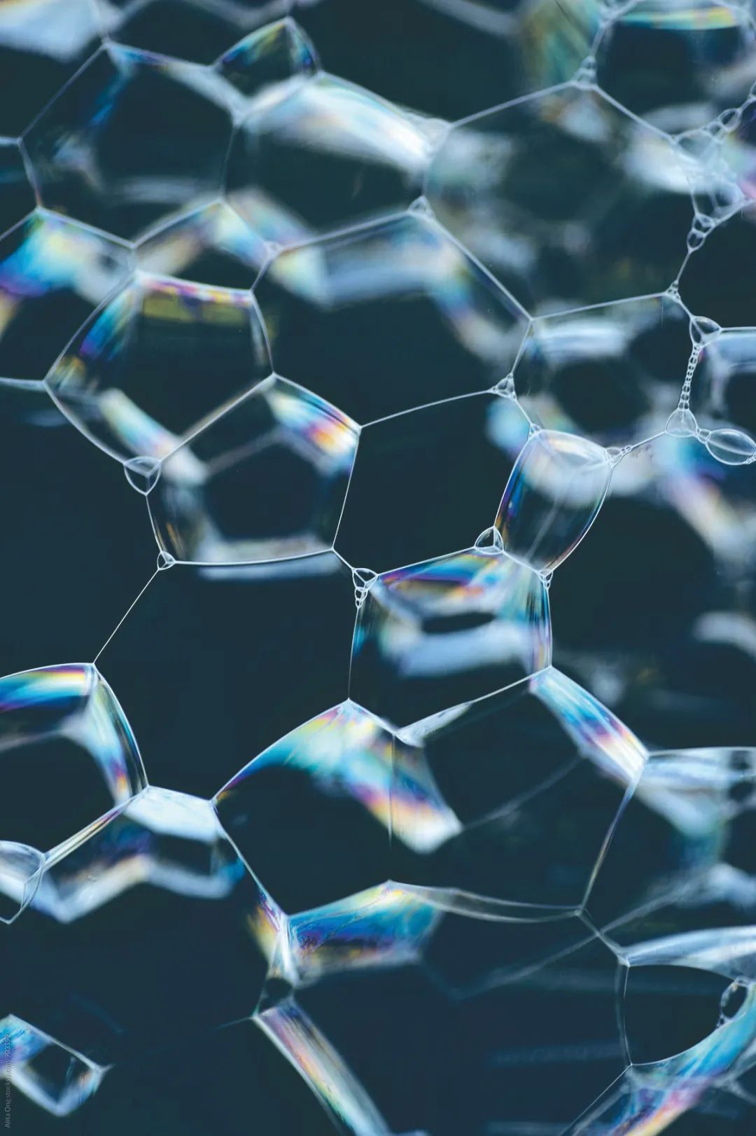 PS怎么把图片放进六边形里 多边形工具怎么画六边形