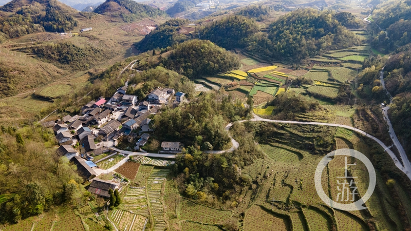 重庆秀山特色产业扮靓乡村