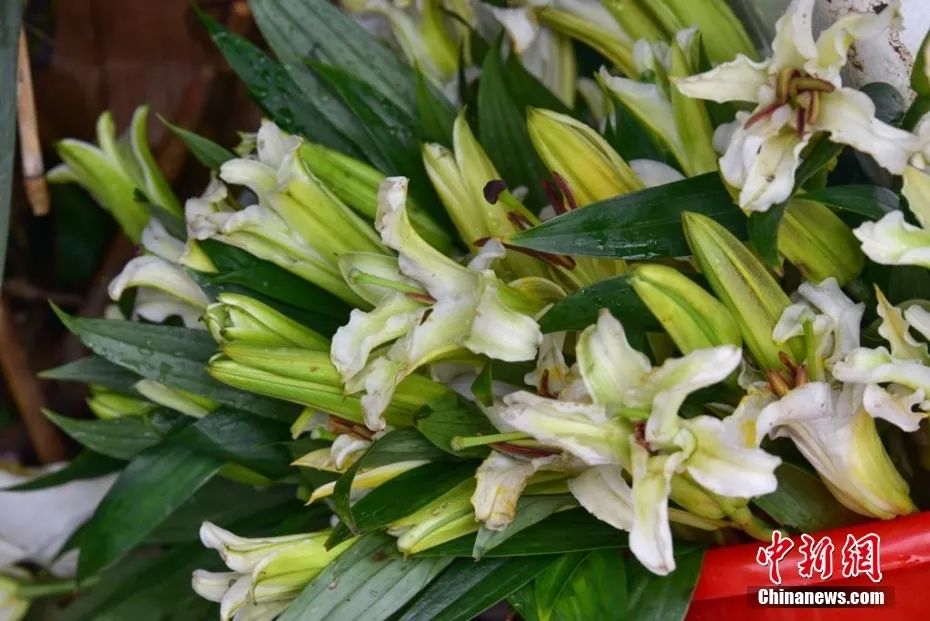 目前还未找到第二部黑匣子！家属带走现场一罐泥土...看的心都碎了！休闲区蓝鸢梦想 - Www.slyday.coM