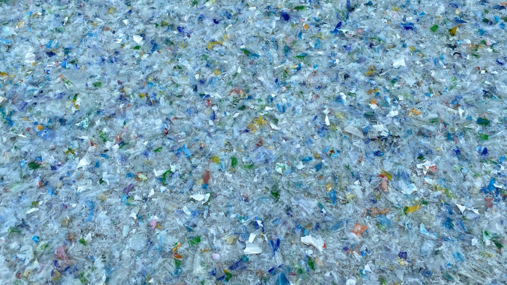 科学家首次在人类血液中发现微塑料休闲区蓝鸢梦想 - Www.slyday.coM