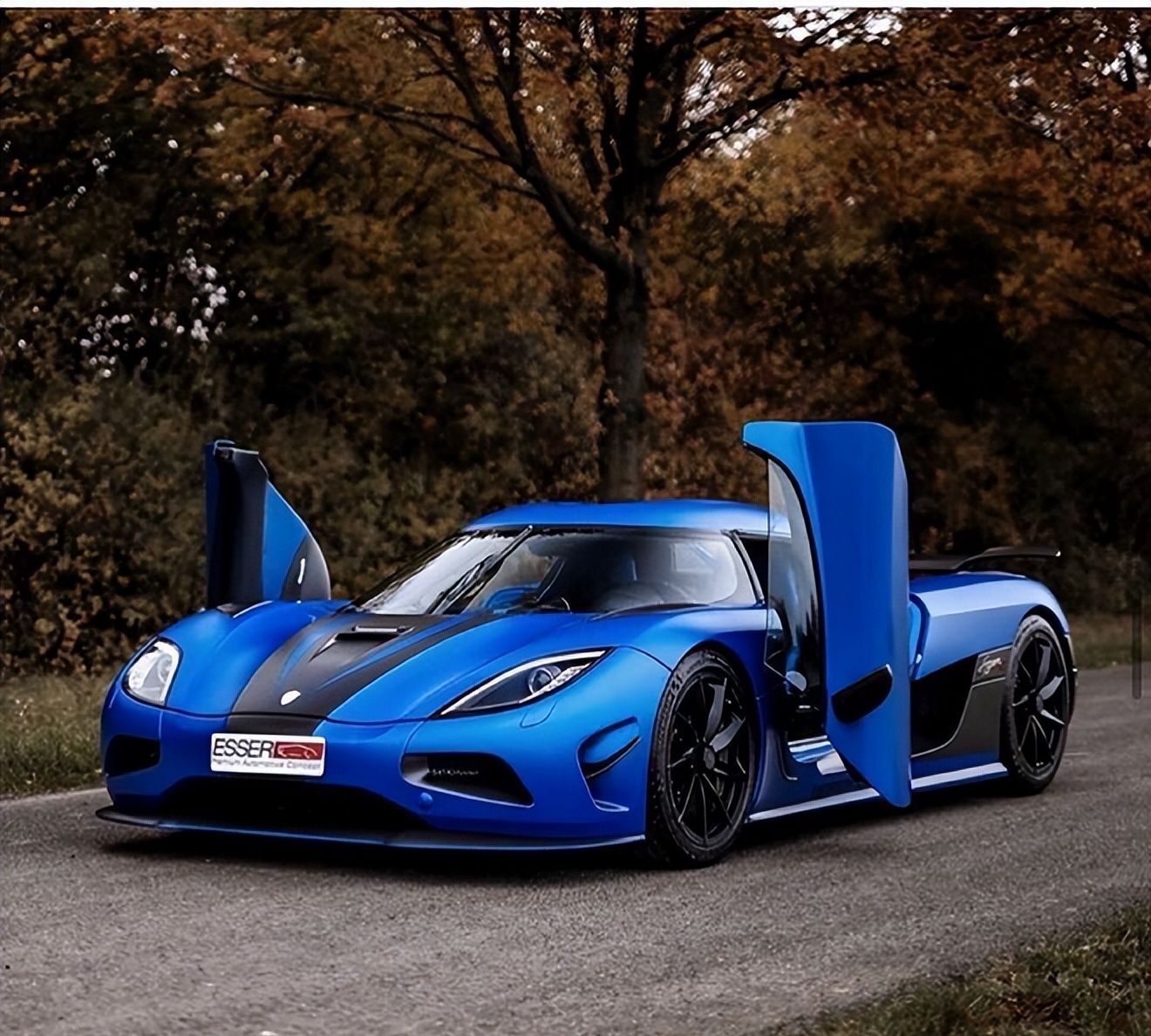 玩的就是个性盘点燃油车中的经典开门方式